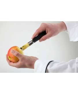 DESCAROÇADOR INOX/PP D2x20,5CM