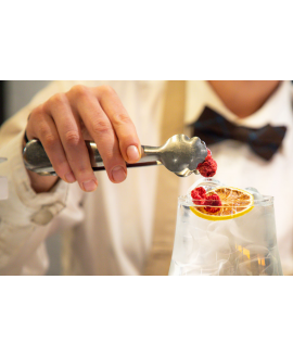 PINÇA GELO INOX C/MOLA 14CM 25/200