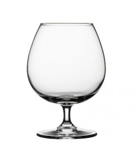 CÁL. 365CC COGNAC CHARANTE 3002412