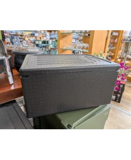 TERMOBOX 60x40x32 EPP200